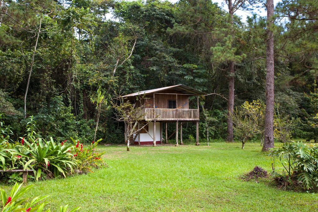 Finca Ixobel Zimmer foto